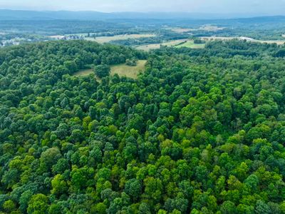 Hudson Rd, Albright, WV, 26519