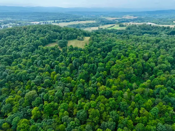 Hudson Rd, Albright, WV 26519