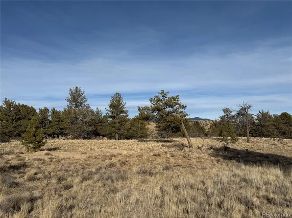 Oak Street LOT 4, 55, Hartsel, CO 80449