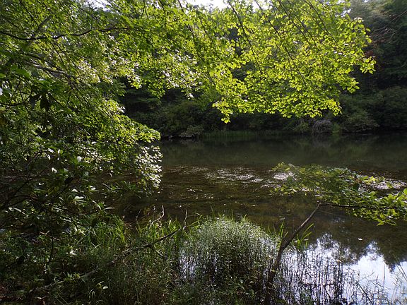 5th image of 3 Basses Creek Ln