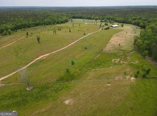 1120 Julia Jordan Rd, Roberta, GA 31078