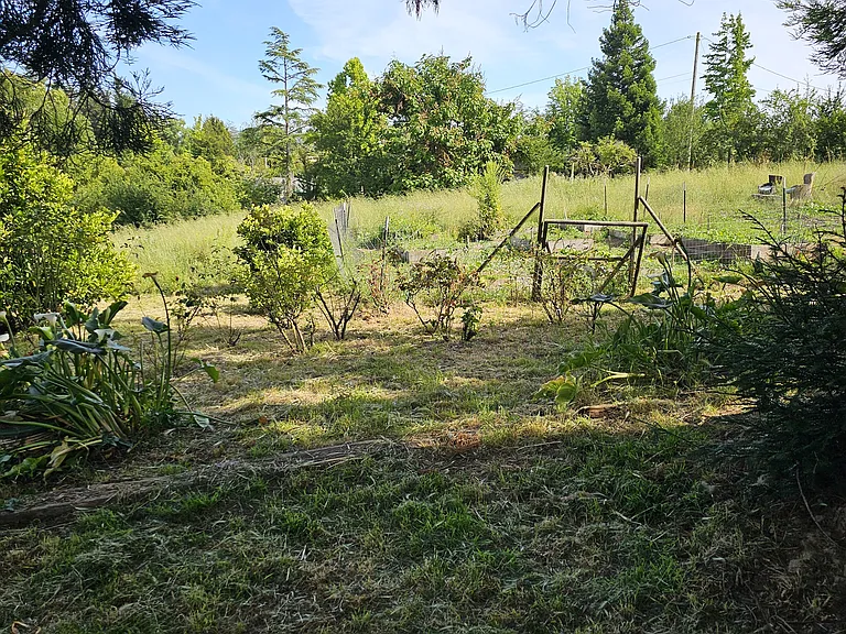 Grandview Rd — Photo 49