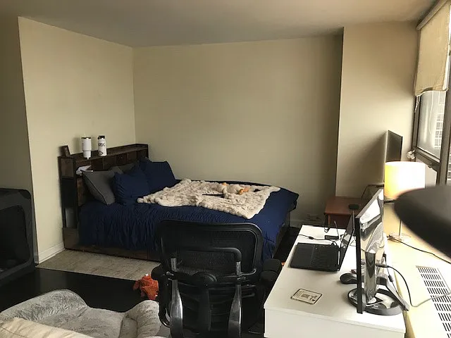 2800 N Lake Shore Dr #2209 — Photo 15