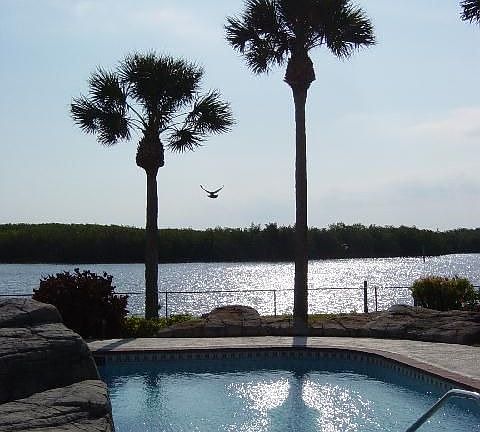 POOL OVERLOOKING SYKES CREEK