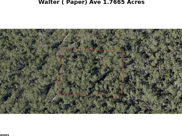 Walter Paper Ave Lot 1, Lake Helen, FL 32744