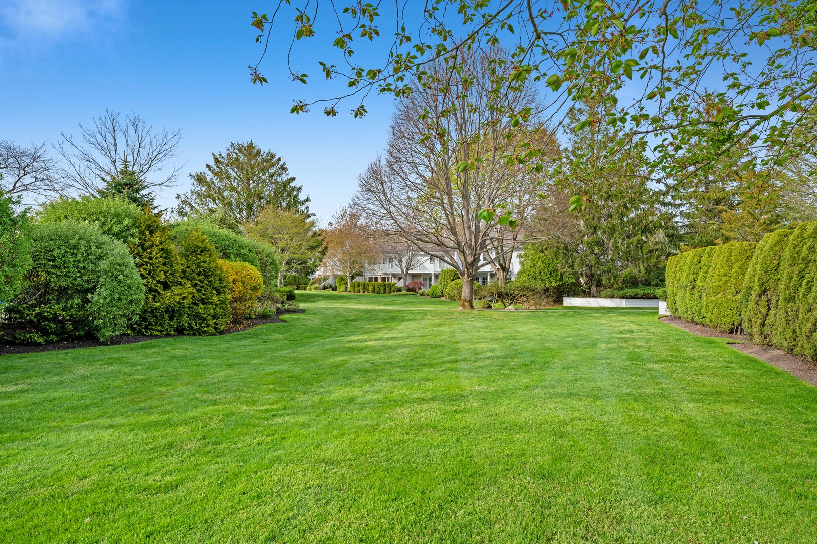 Beautiful Lawns