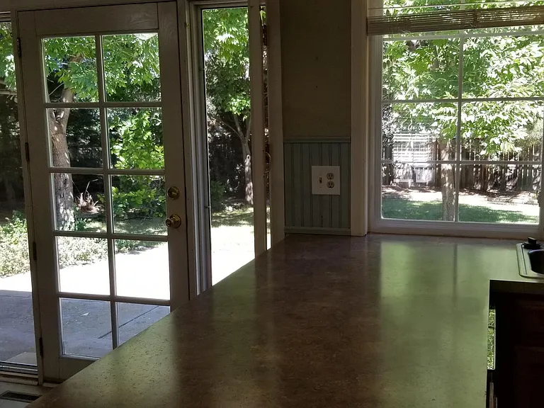 Kitchen view of back yard.