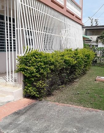 3rd image of 231 Calle Brisas Del Mar