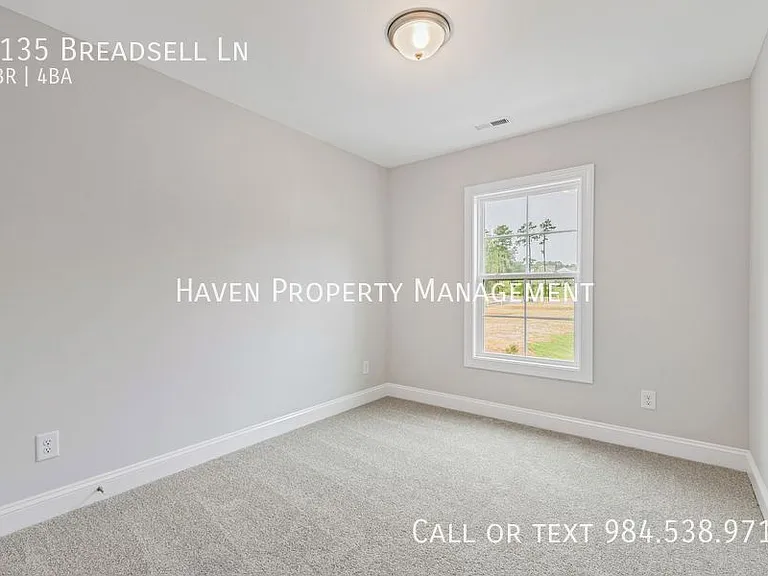 1135 Breadsell Ln — Photo 23