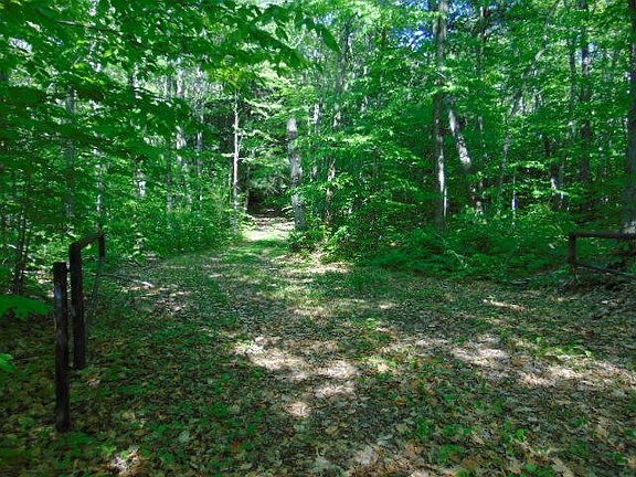 3rd image of 20364 Pinewood Dr