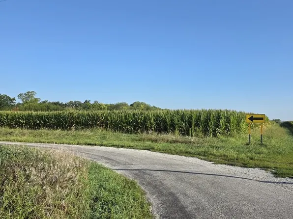 E County Road Rd #850, Newman, IL 61942