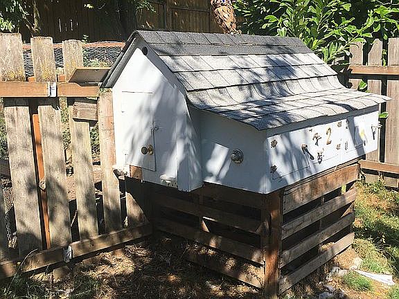 Your very own chicken coop!