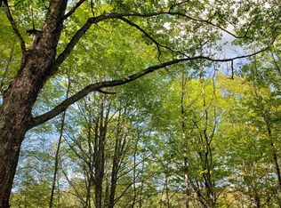 Back Windham Rd, West townshend, VT 05359