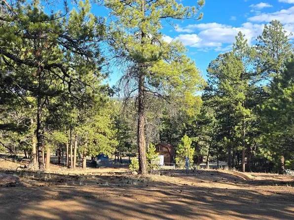 595 Mustang Trl, Florissant, CO 80816