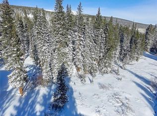 33 Rena Rd, Breckenridge, CO 80424