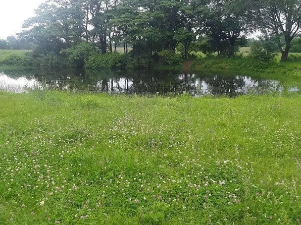 000 State Highway HH, Purdy, MO 65734