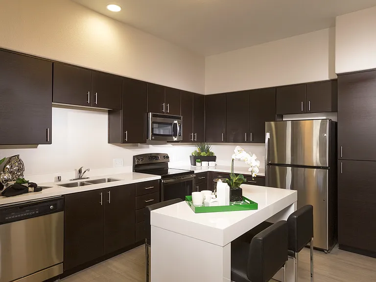 Anton 1101 Apartments — Photo 16