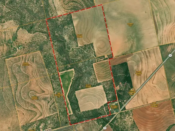 7000 County Road 335, Colorado City, TX 79512