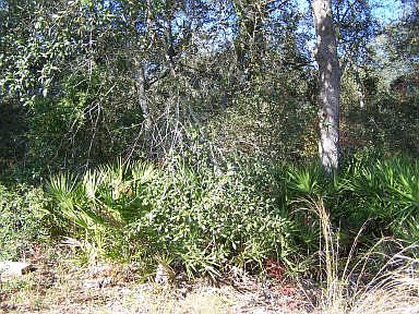 1st image of 396 SE 295th Ave