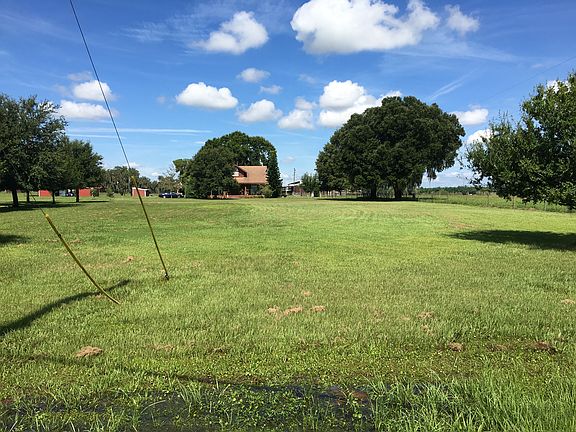 The house view from the road
