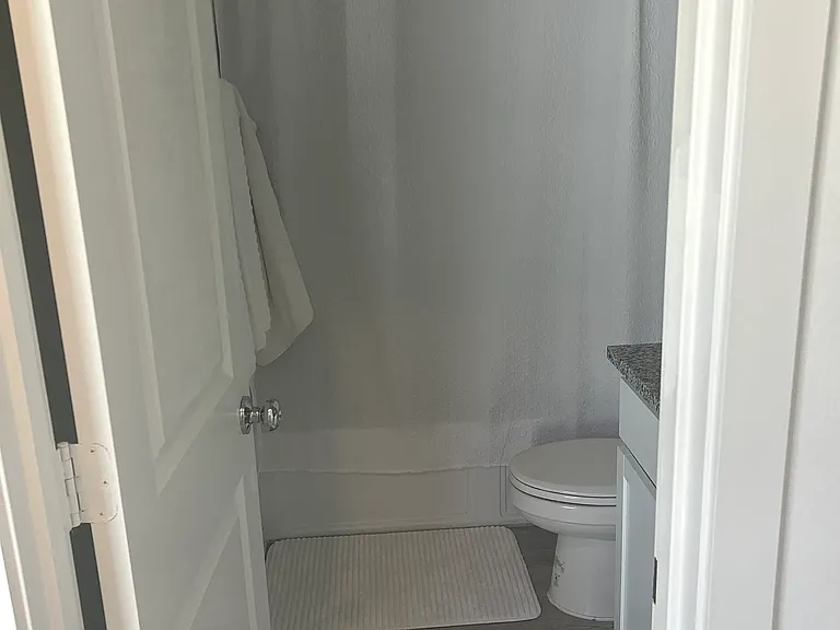 910 Wood Stork Way — Photo 15