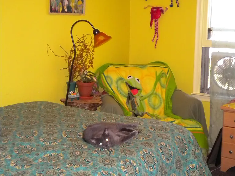 115 S Pleasant St #B — Photo 10