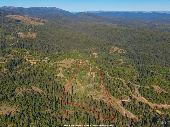 4 Tree Farm, Elk City, ID 83525