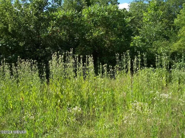 8 Long Run Rd, Mill Hall, PA 17751