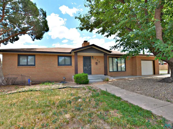 137 New Mexico Dr, Portales, NM 88130