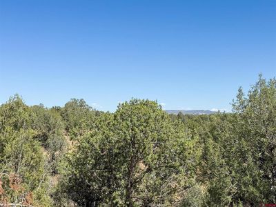 TBD County Road 136, Hesperus, CO, 81326