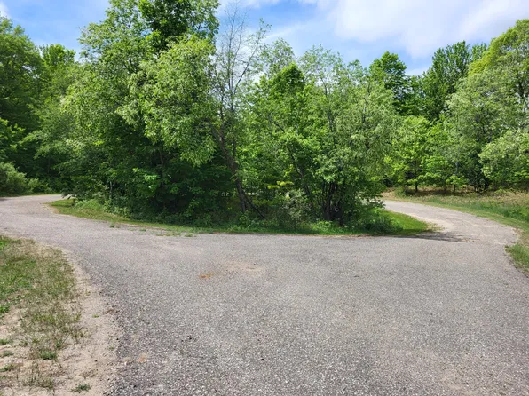 19 Woodley Ct, Elmira, MI 49730