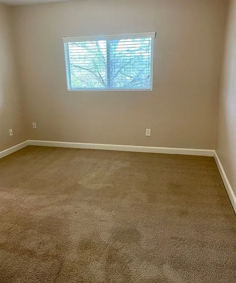 37 Laiken Ct — Photo 26
