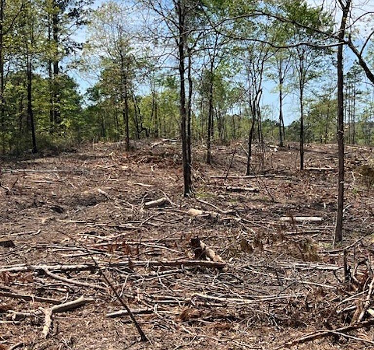 2nd image of Highway 84 Tract E