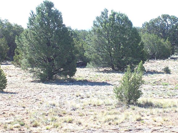 5th image of 4063 E Woodland Ranch Rd