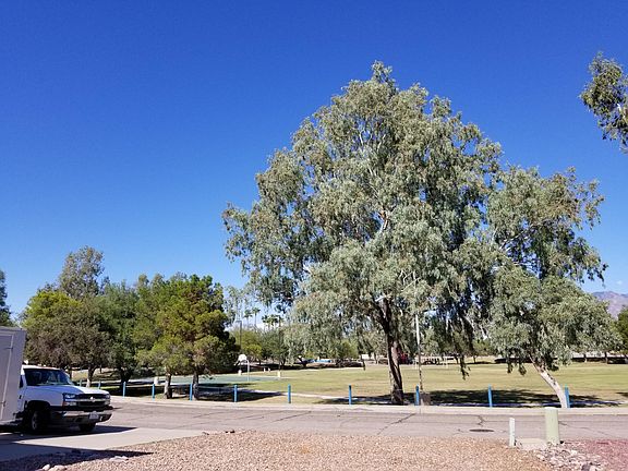 View from the front yard.