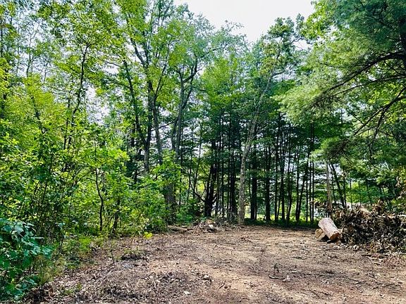 3rd image of 0 Coyote Ln