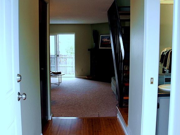 Bamboo In Entry