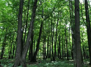 Hwy P, Edgar, WI 54426