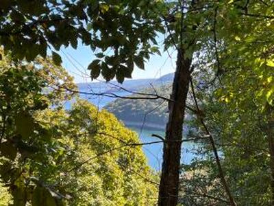 (Undisclosed Address), Garfield, AR, 72732