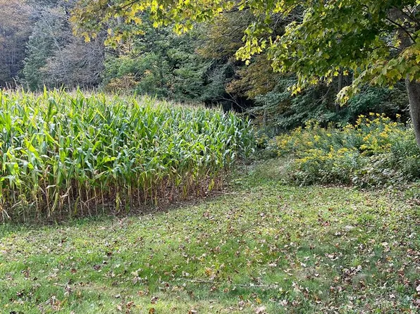 0 N Fork Rd, Westfield, PA 16950