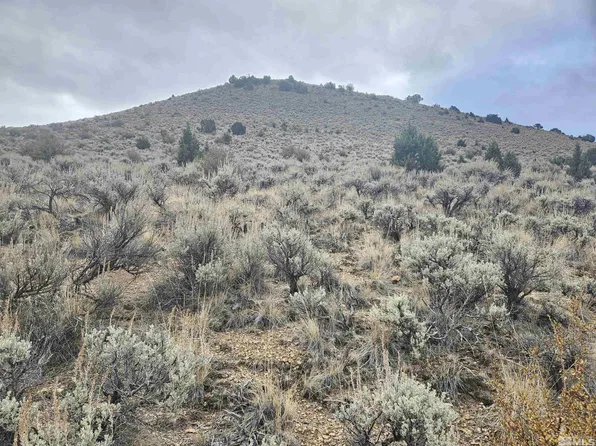 Chokecherry Ln, Reno, NV 89508