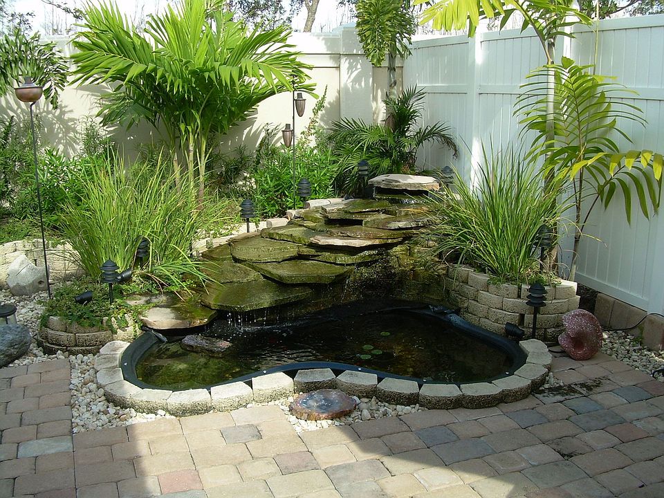 Waterfall & Pond