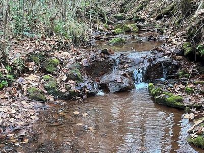 0 County Road 484, Englewood, TN, 37329