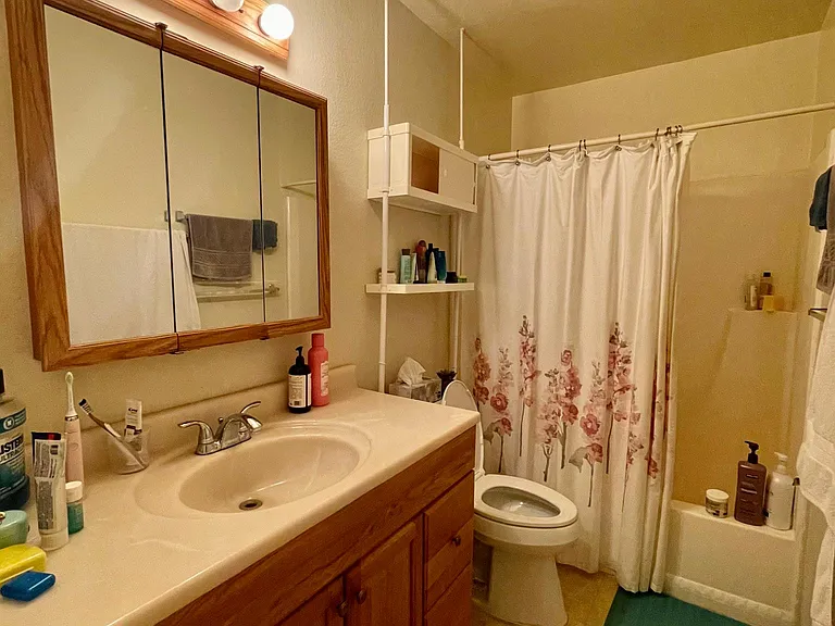 bathroom upstairs