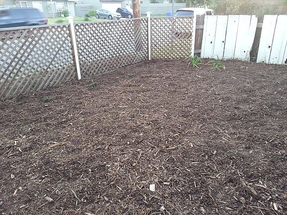 front yard