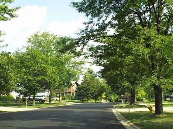 2nd image of 633 Feather Sound Dr