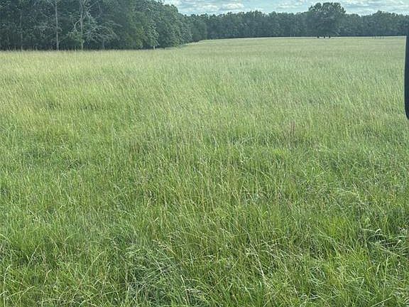 3rd image of 6337 Dd Hwy