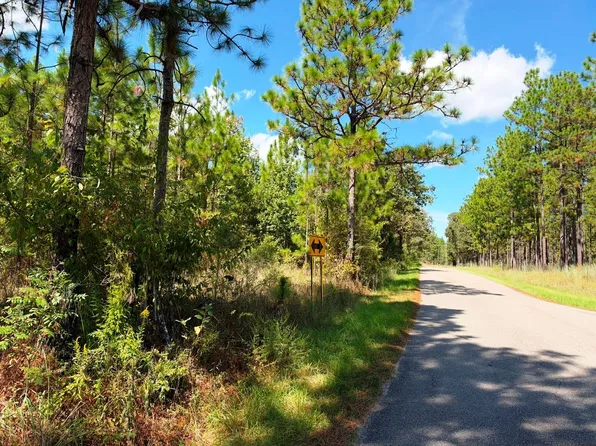 0A Crown Zellerback Rd, Lumberton, MS 39455