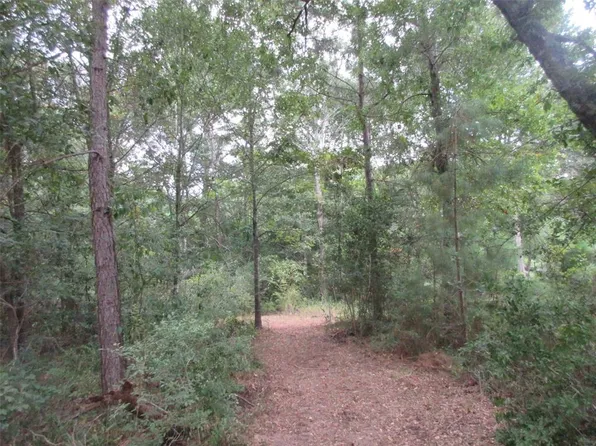 22598 Sharp Rd, Montgomery, TX 77356