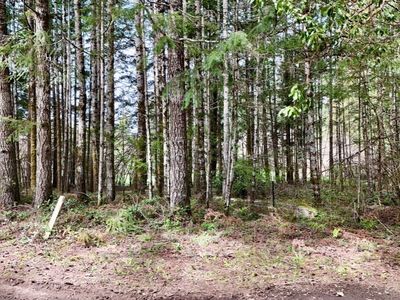 361 SE Ryan Road, Shelton, WA, 98584
